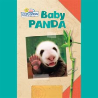 Baby Panda by Lawrence, Ellen